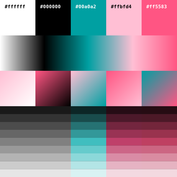 palett_es's tweet photo. @tarya #ffffff #000000 #00a0a2 #ffbfd4 #ff5583 https://t.co/u95xXWP9fB