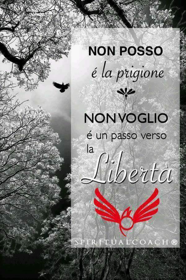 stepedemonte10 tweet picture