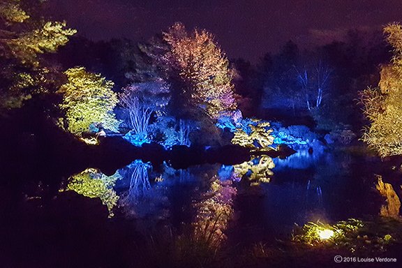 LouiseVerdone's tweet photo. Something different! Pics of Japanese garden #Montreal #botanicalgarden #botaniclights #NightPhotography #colourphotography #photography https://t.co/kYmgtgc3ZQ