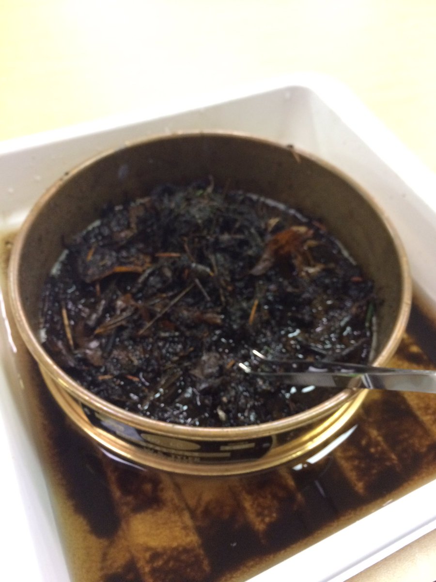 Bugs n stuff #futuregnl