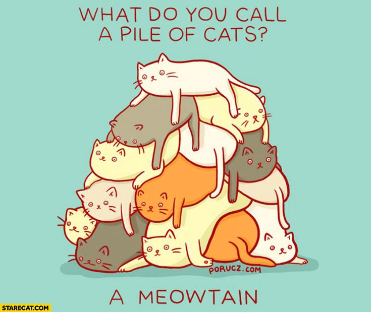 MarjaneSatrap13's tweet photo. @LeslieMc1214 Cats, because this #MarjiChat https://t.co/YipB2NBCc6