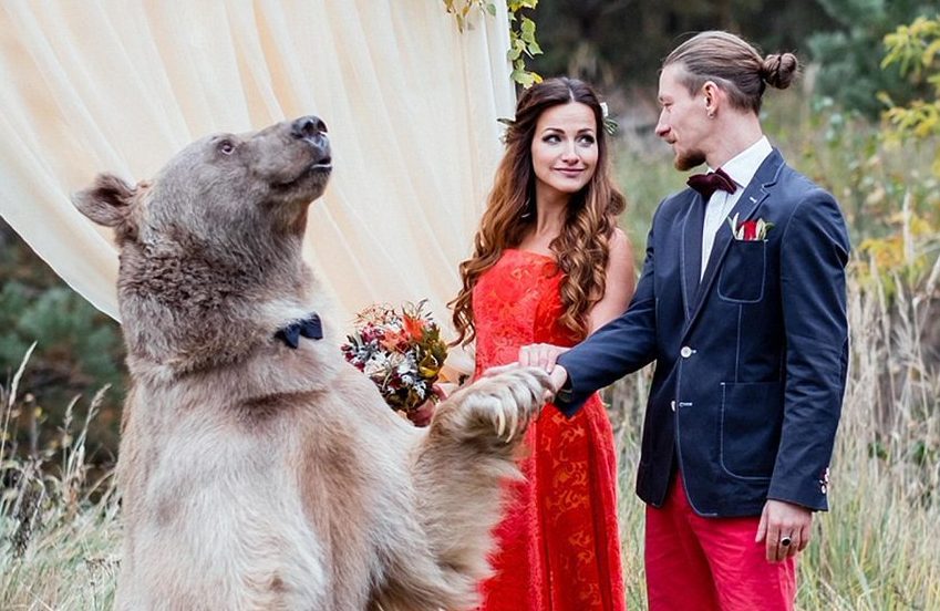 Russian couple takes wedding photos with actual ring bear-er ...