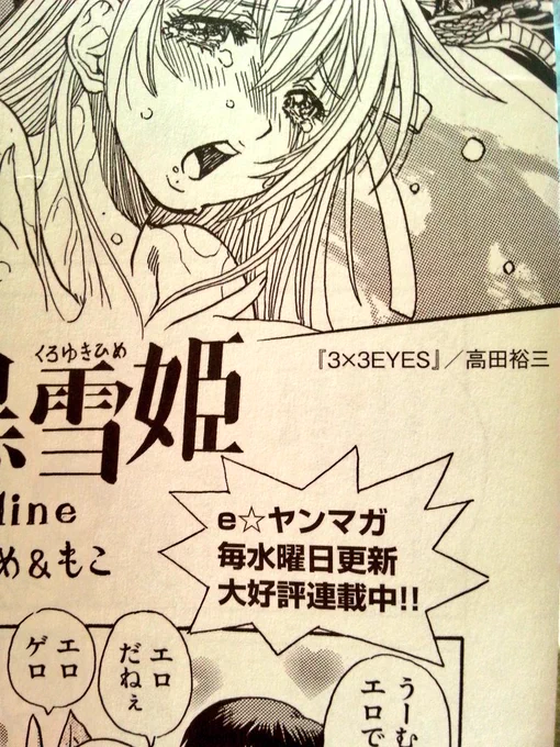 あと何がすごいってあの「3×3EYES(サザンアイズ)」の高田裕三先生が黒雪姫について4Pも描き下ろして下さったペーパーが第1巻全部に封入されています。神です。 