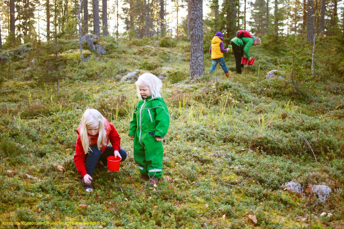 Nature has no bad weather: what to wear Nature has no bad weather: what to wear