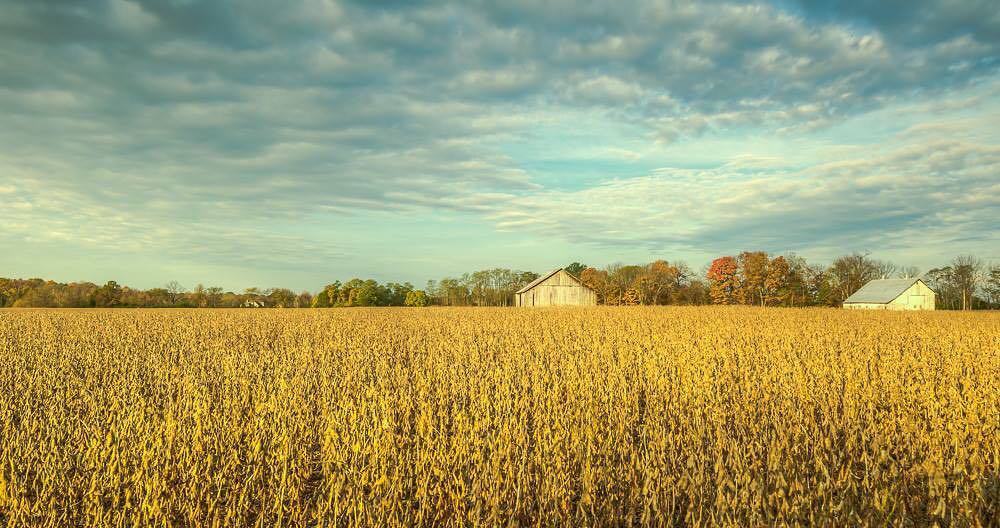 GregUrbanyi's tweet photo. Central Ohio Farm #ourohio #outside #ohiogram #ohiotrip #cbusgram #centralohio #sunday #gitzo #leefilters #bigstopp… https://t.co/yIQrCB69hU