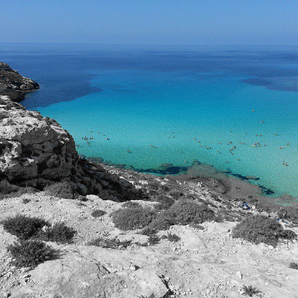 ViewspotApp's tweet photo. Rabbit Beach | Lampedusa, Italy (Marco Assini/Flickr)
#rabbitbeach #lampedusa #italy #beach #travel #views #viewspotapp https://t.co/eE2En0cqnE