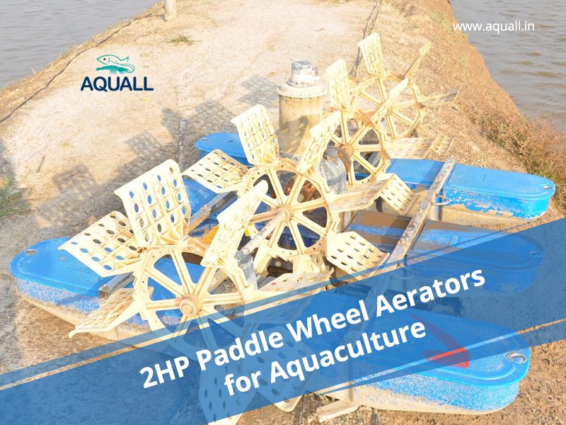 AquallIndia's tweet image. Buy 2 hp paddle wheel aerators at best prices from Aquall.
goo.gl/vzd1yG
#aquall #aquaculture #paddlewheelaerators