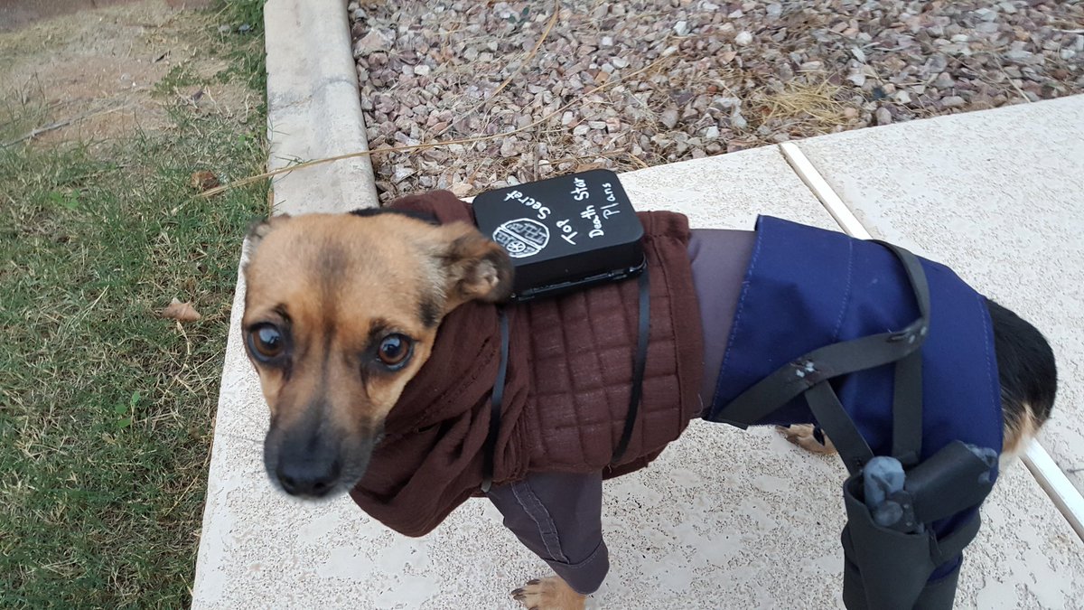 Meredith G. tweet media