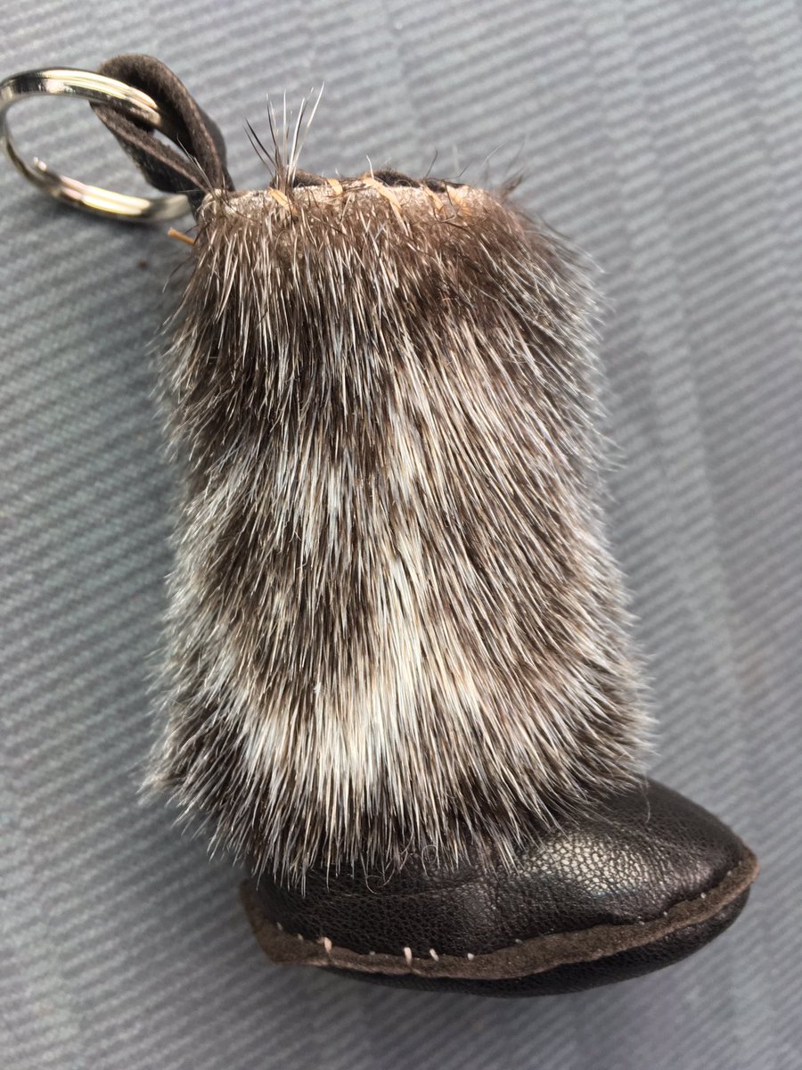 Manido Waaje Makwa, Kris Meawasige tweet media