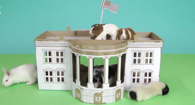 StudyX's tweet image. Don't Forget To Vote!