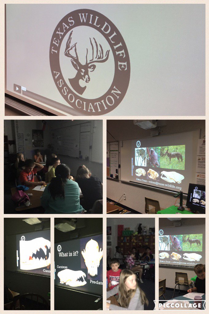 GreenChurchill6's tweet photo. Students participated in distance learning program thru Texas Wildlife Association. @greenexplorers https://t.co/Ht4DF6jqUZ