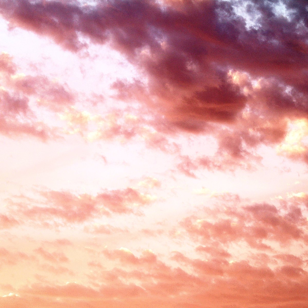 Cotton candy skies 🍭