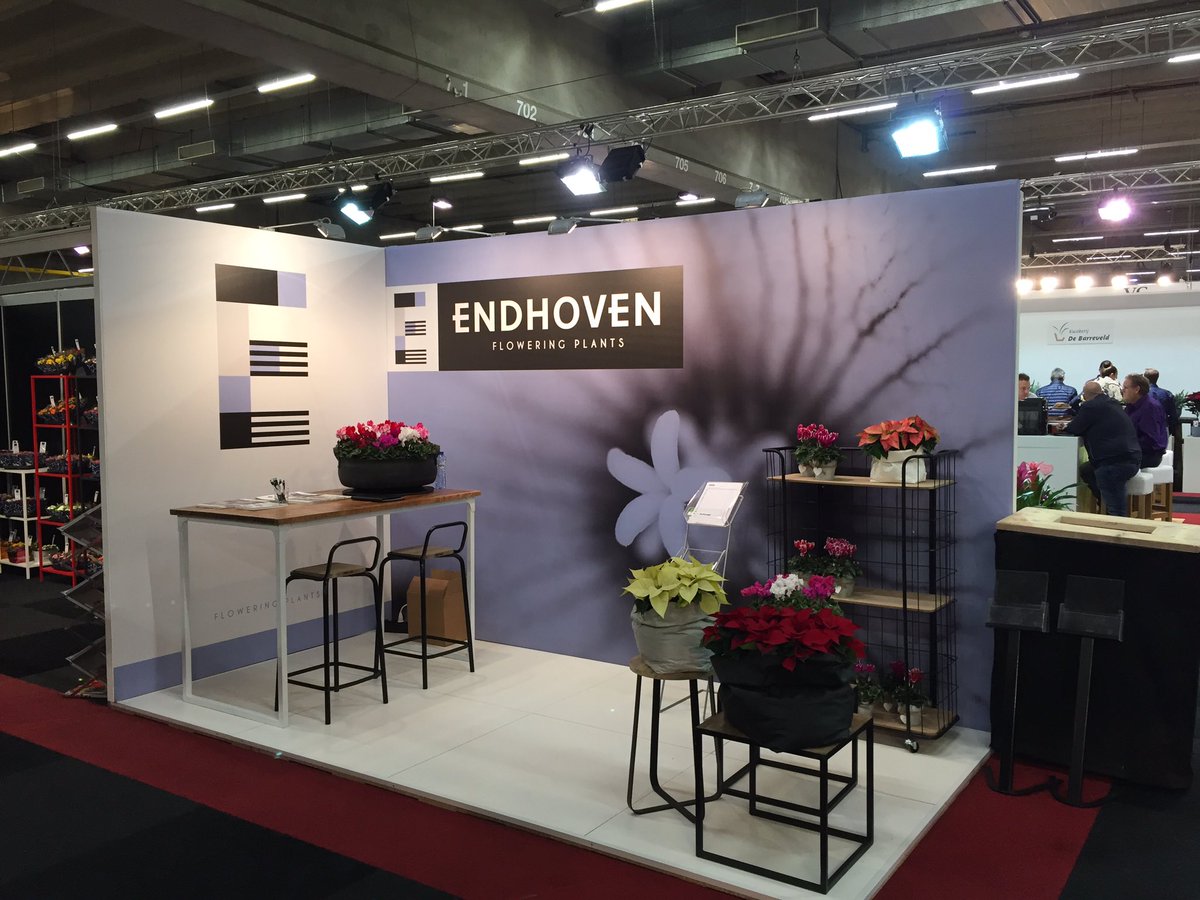 Enthousiaste reacties op onze nieuwe huisstijl #fhtf#trots <a href="/MangoaOntwerp/">Mangoa</a>