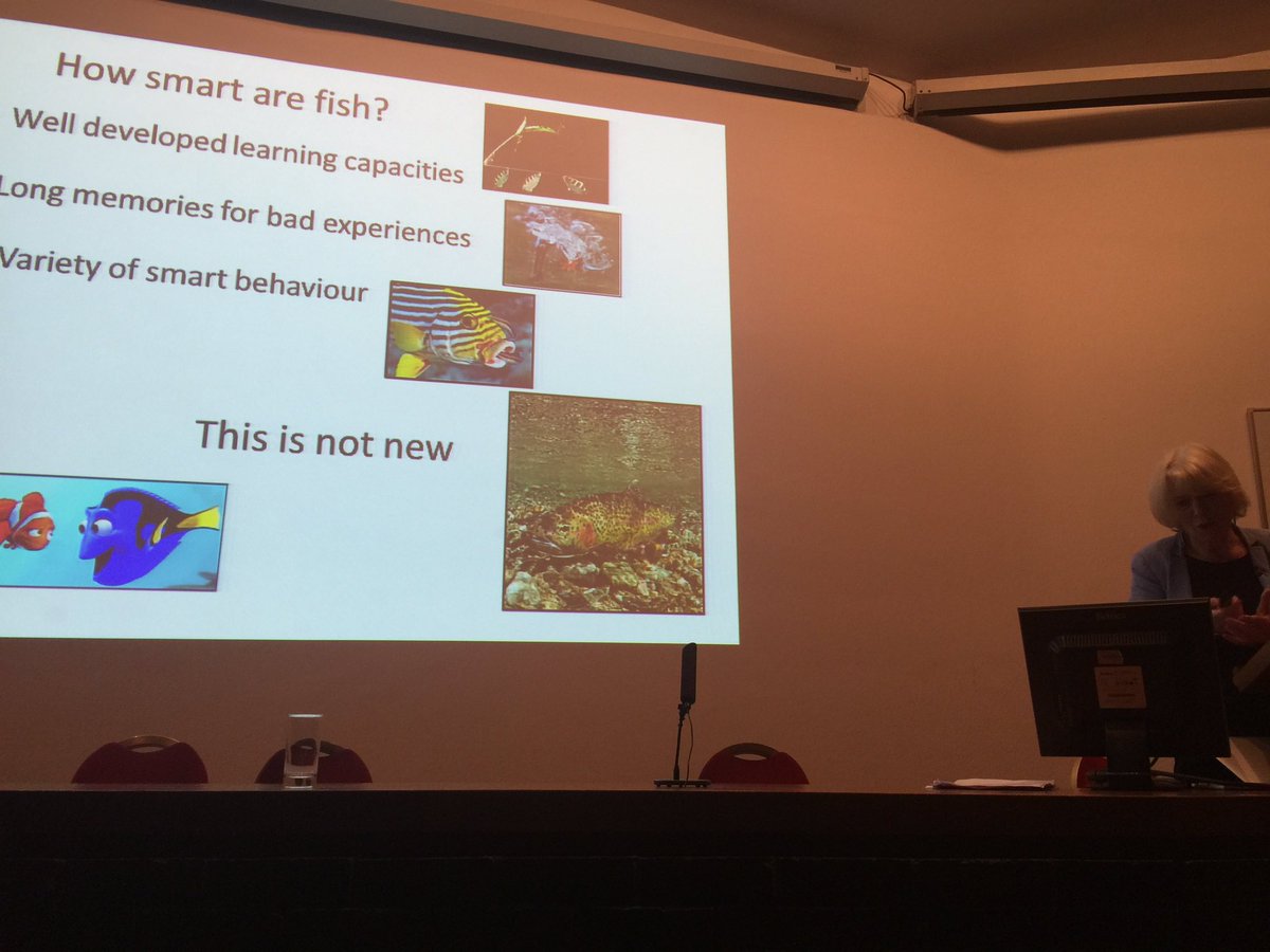 Buckland_F's tweet photo. Fish tick all the smart boxes. Fantastic talk from Felicity Huntingford at ZSL. @ZSLMarine @CharlesJardine https://t.co/OcG4JZWWoL