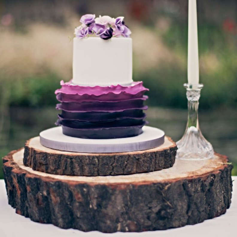 The Wedding Tree tweet media