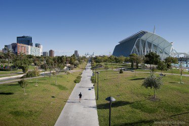 love_valencia's tweet photo. El cauce del río Turia es el pulmón verde de nuestra ciudad: pasea por él y respira su aire renovador 🌳 https://t.co/qOCWl2qDf7 https://t.co/3XQ2LhTCRD