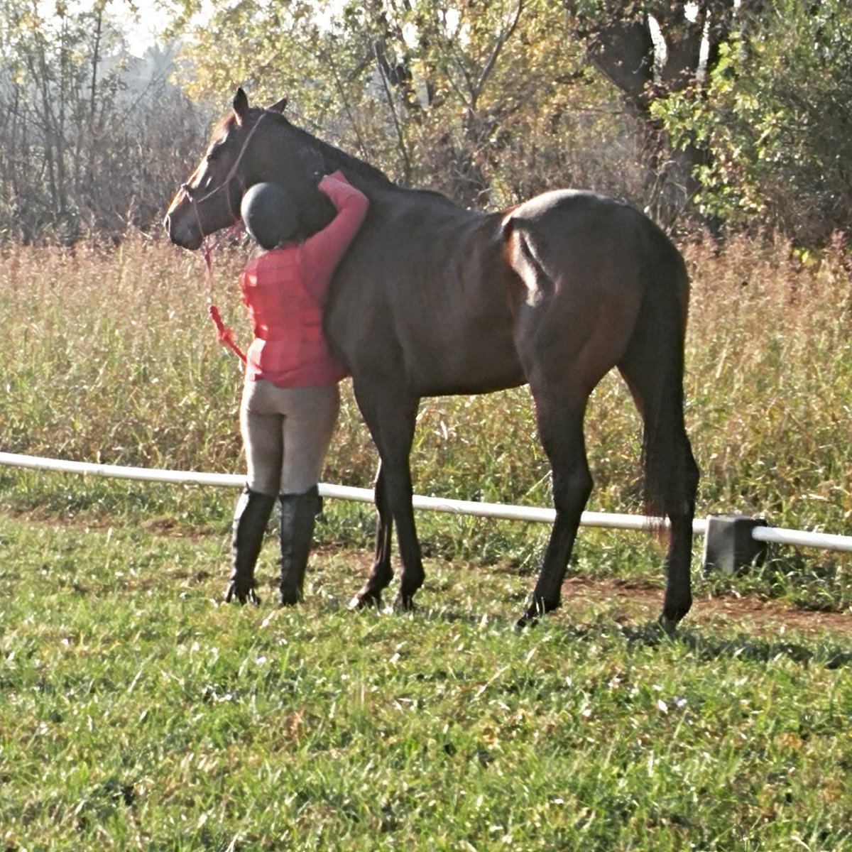 #RetiredRacehorseProject2017 #ProudRoyal #BittergreenFarm #OTTB