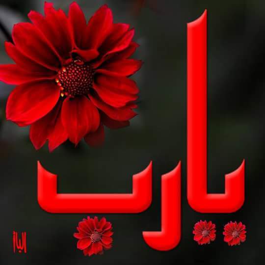 حبييي يا الله