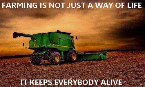 DKAS_NIN's tweet photo. Farmers put food on your table, clothes on your back, and fuel in your vehicle! #ThankAFarmer @Asgrow_DEKALB #MyFarmMyYield https://t.co/OIiTVU1dJ4