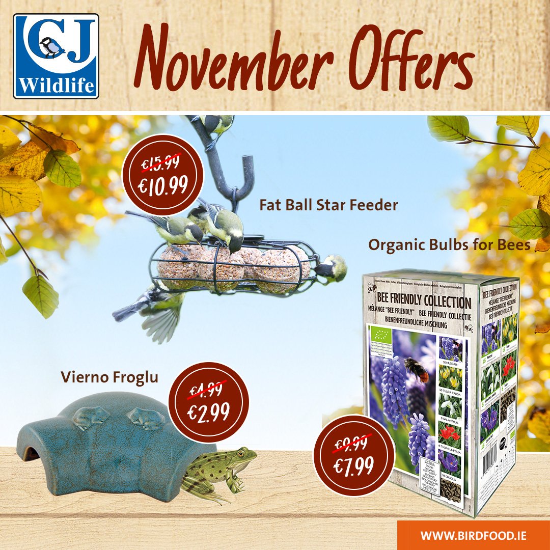 birdfood_ie's tweet photo. Check out our fantastic November Offers! https://t.co/9KFIAnFdMk #offers #November #offersofthemonth https://t.co/CTmIJDypAy