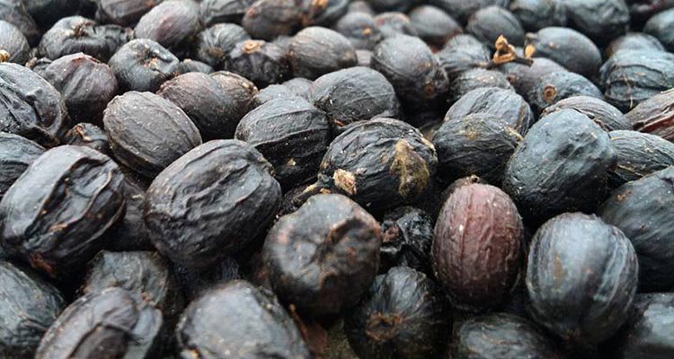 On The Record Ep 84: Milwaukee coffee
milwaukeerecord.com/podcast/on-the… @Anodynecoffee <a href="/HawthorneCR/">Hawthorne Coffee</a> <a href="/ColectivoCoffee/">Colectivo Coffee</a> <a href="/valentinecoffee/">Valentine Coffee Co.</a> <a href="/StoneCreekCoffe/">Stone Creek Coffee</a>