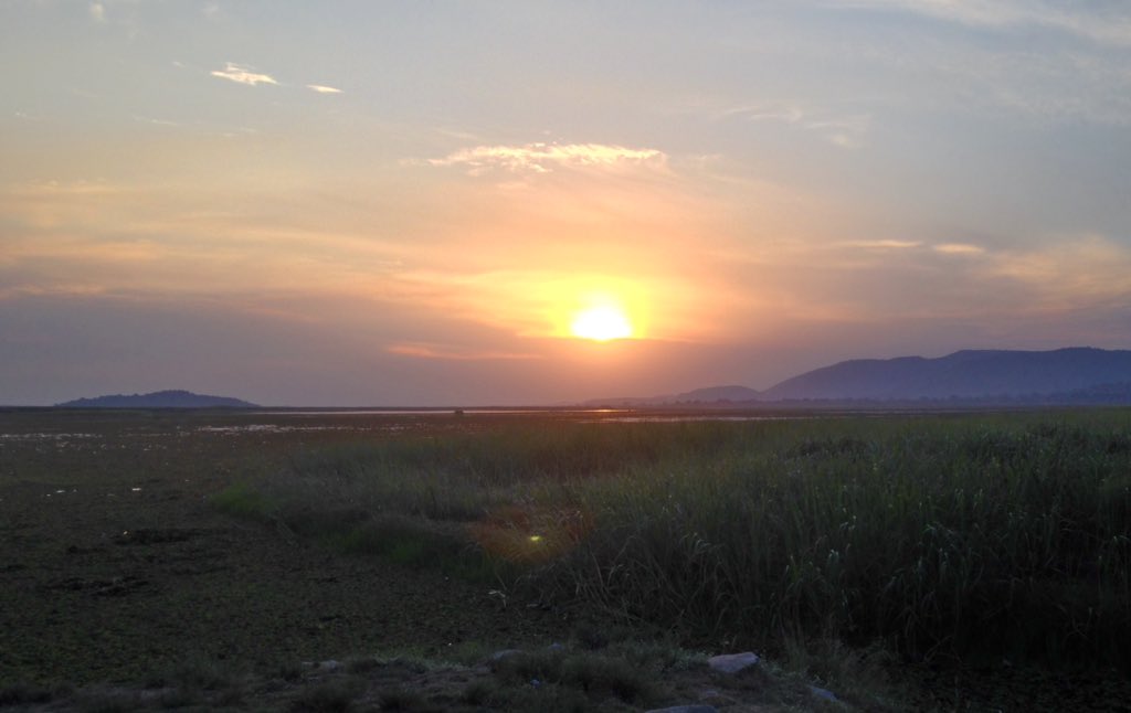 Federico Di Leo On Twitter Sunset On The Nile North Uganda