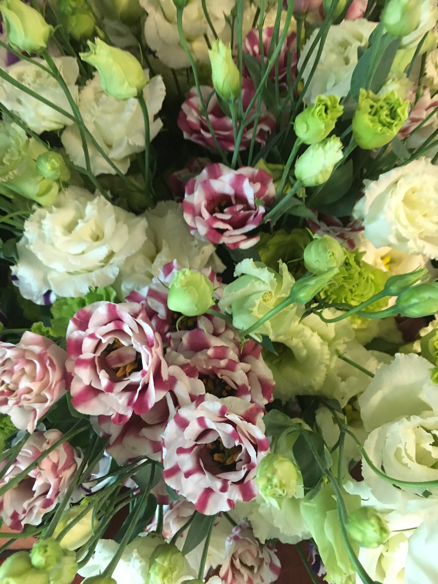 CScrutonFlowers's tweet photo. Beautiful 😍@MonoLisi @HIP_Aalsmeer https://t.co/tmZwyxKBPO