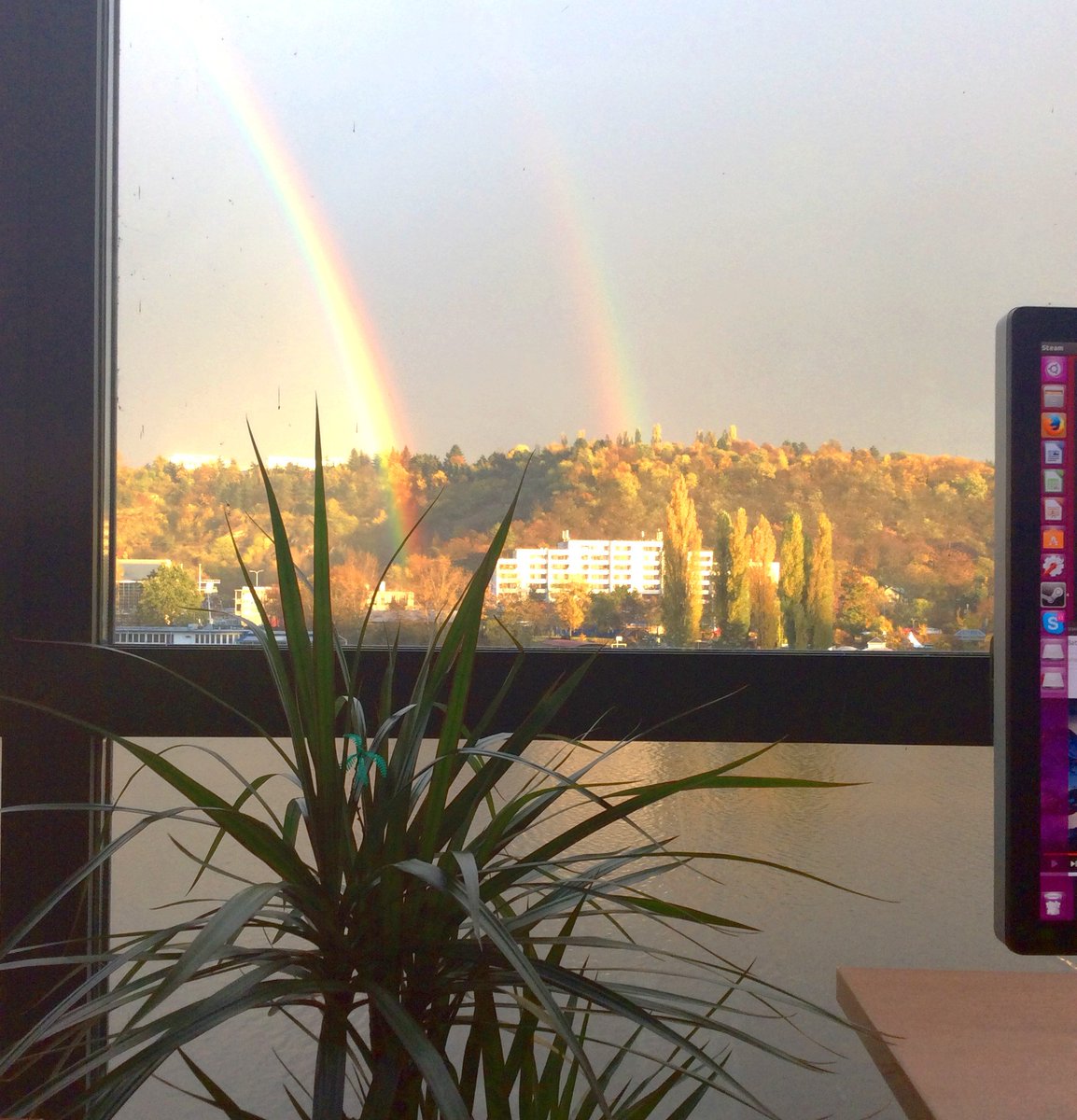 BohemiaPalmTree's tweet image. Bohemia Palm Trees wish a lot of luck to our new Bohemia Incubator colourful label.