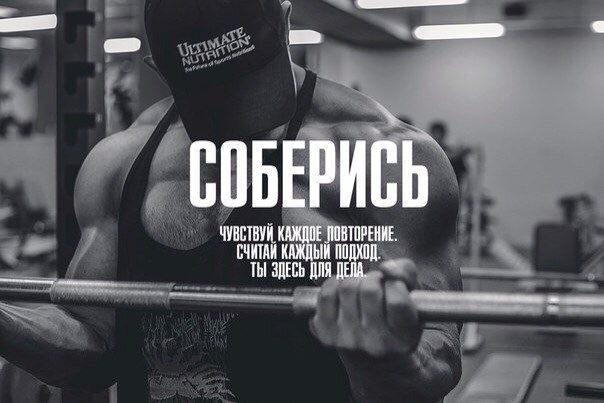 Картинки с надписями мотивация спорт, обезьяной