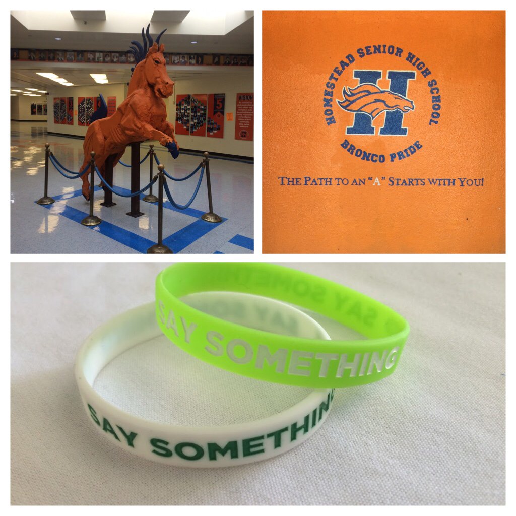 PurposeCoachPro's tweet image. @sandyhook @MDCPS Had a great time @homesteadshs So many students with such big dreams willing to stand and #SaySomething
#PurposeFULL