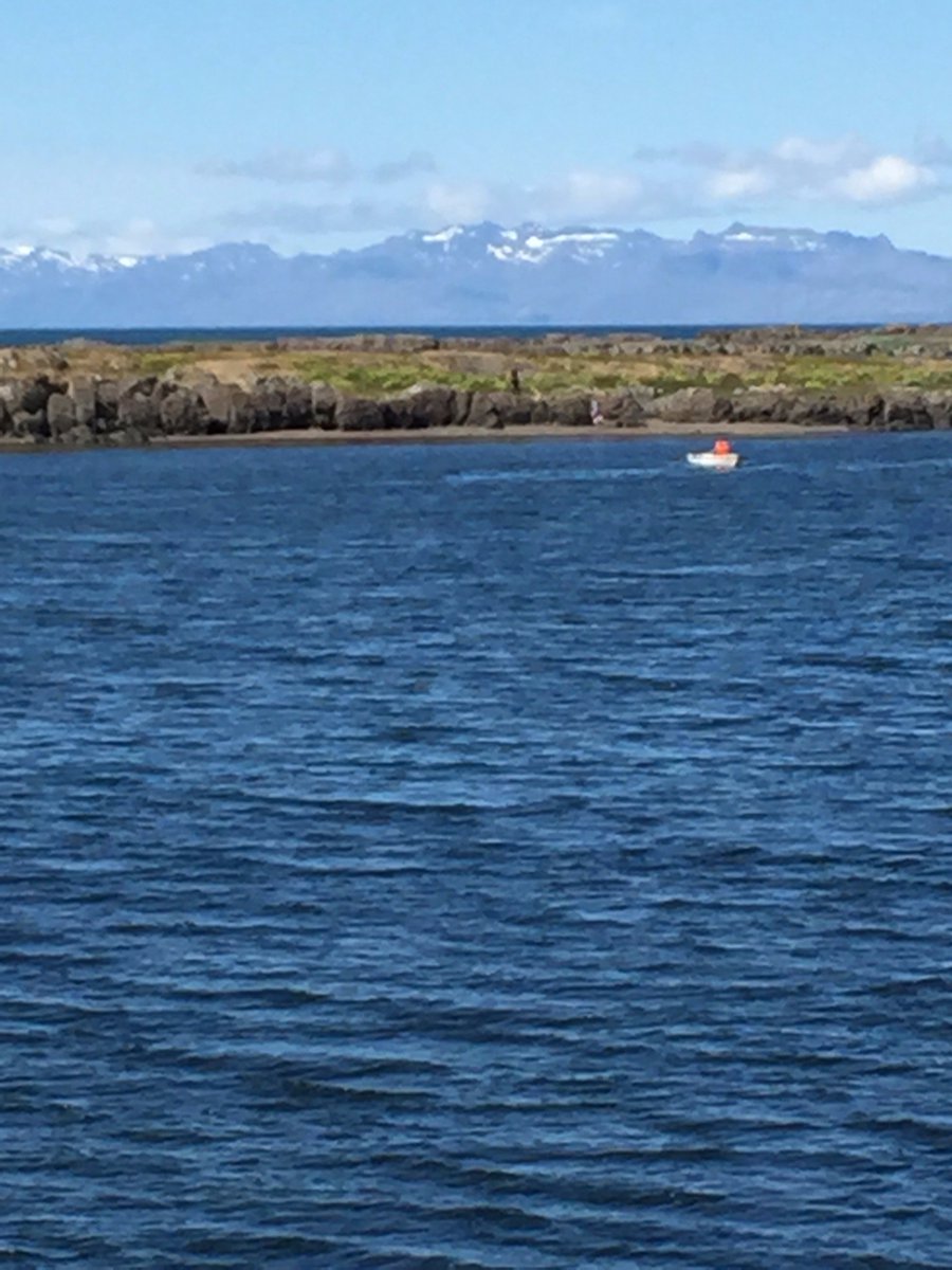 Síðasta tístið um Arion! Arion banki