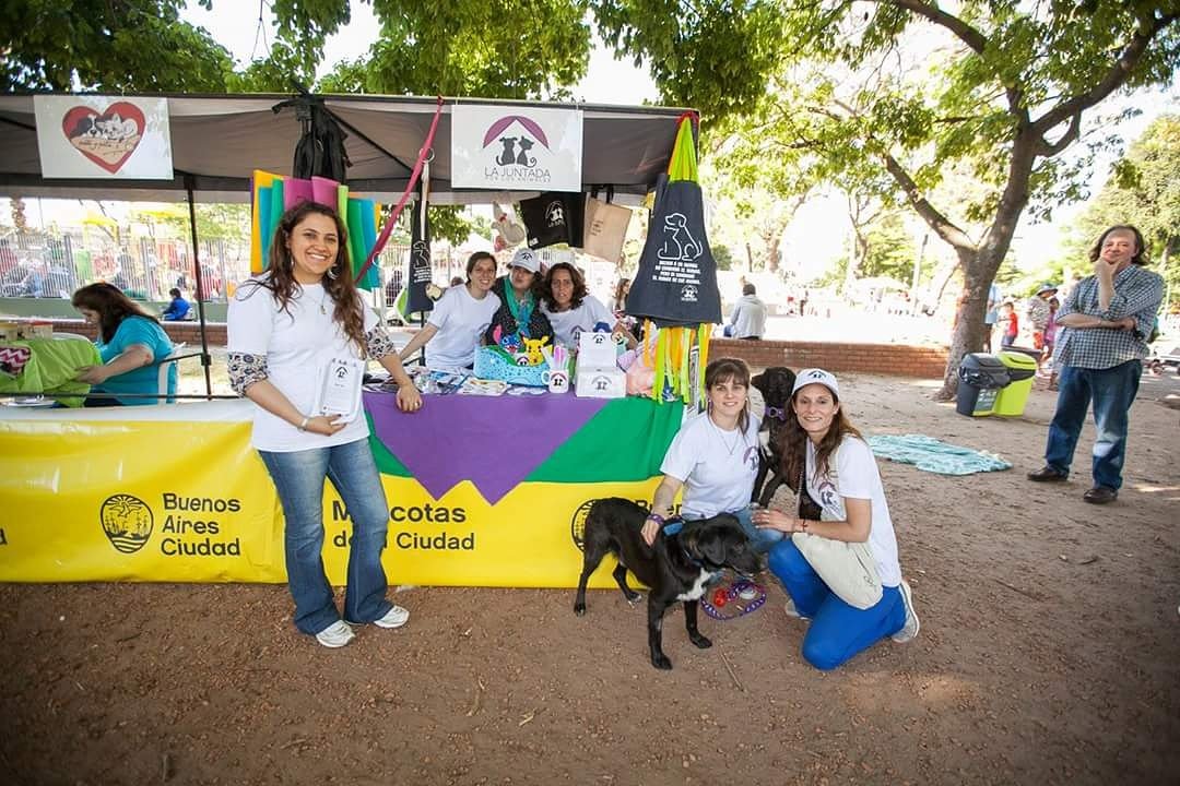 LaJuntadaBoedo's tweet photo. La juntada estuvo en la jornada de adopciones del 29/10 en el parque avellaneda https://t.co/YOuKRdW2qq