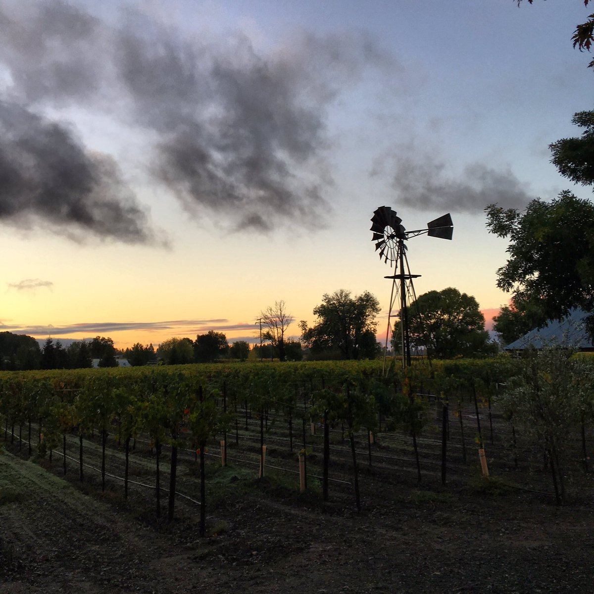 Sunrise in Dry Creek Valley #SonomaCounty #sunrise #healdsburg #goodmorning