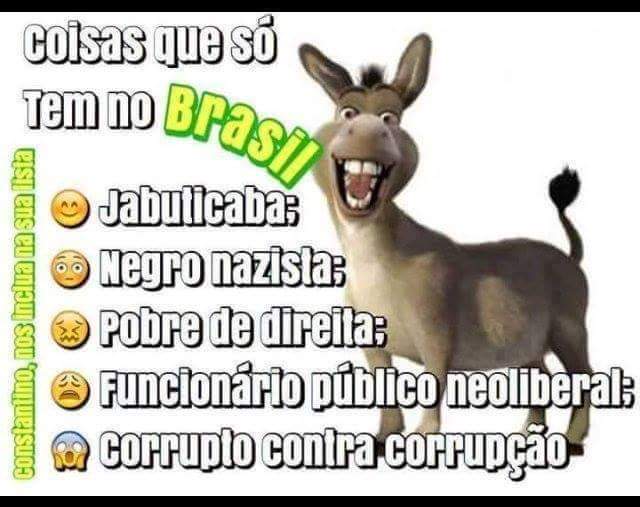 Adrysscamar1's tweet photo. @rcrevelone @GiCouoriginal @jrbrasil7 @CamargoMot @MovTeimaDilma #burroooo @empavan https://t.co/ANaPOEkP1d