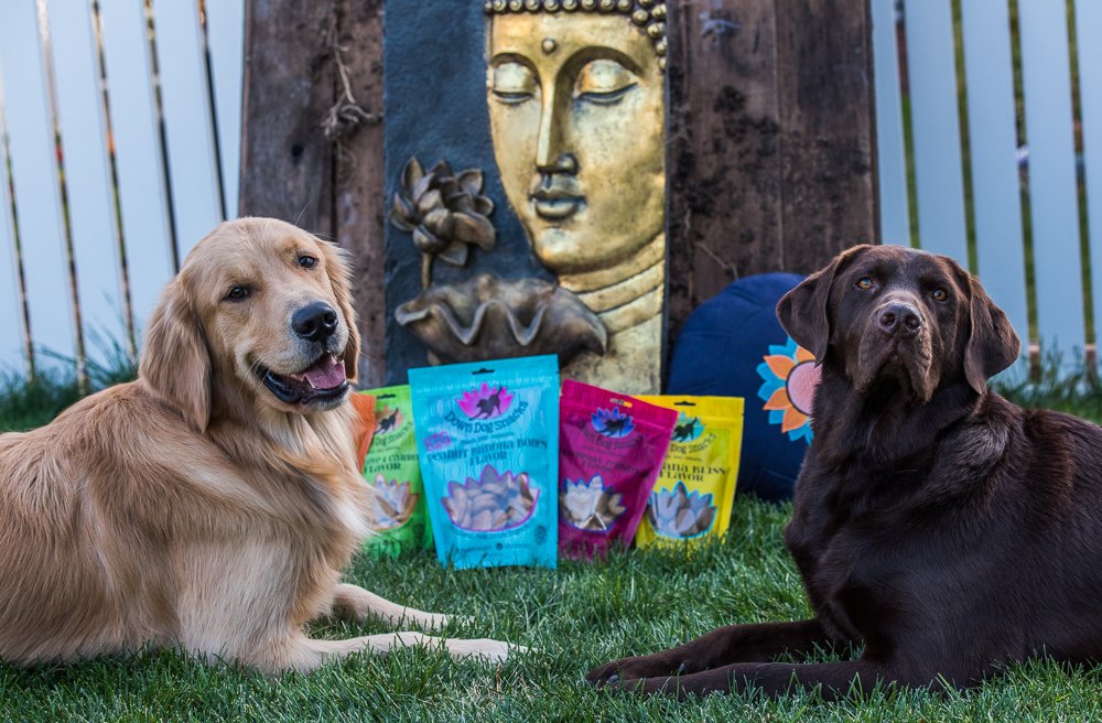 downdogsnacks's tweet photo. 4 more days to go. #supportsmallbiz #kickstarter #downdogsnacks #dogs #dog #fundraising https://t.co/PrOUYw632C https://t.co/2GKdikpr4n