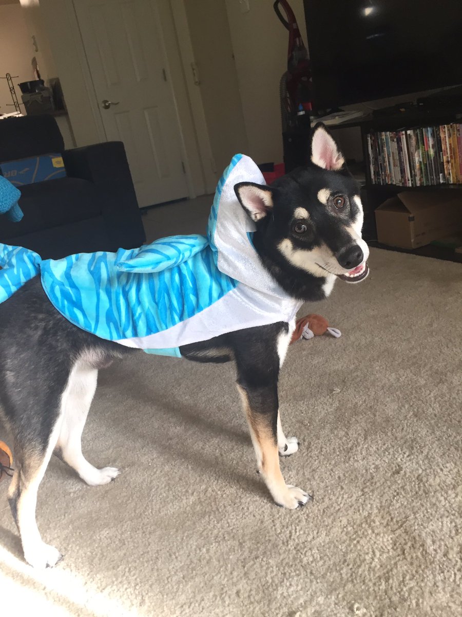 sillymegj's tweet photo. Can class be over already so I can go play with this guy? https://t.co/0I2svbYOfW