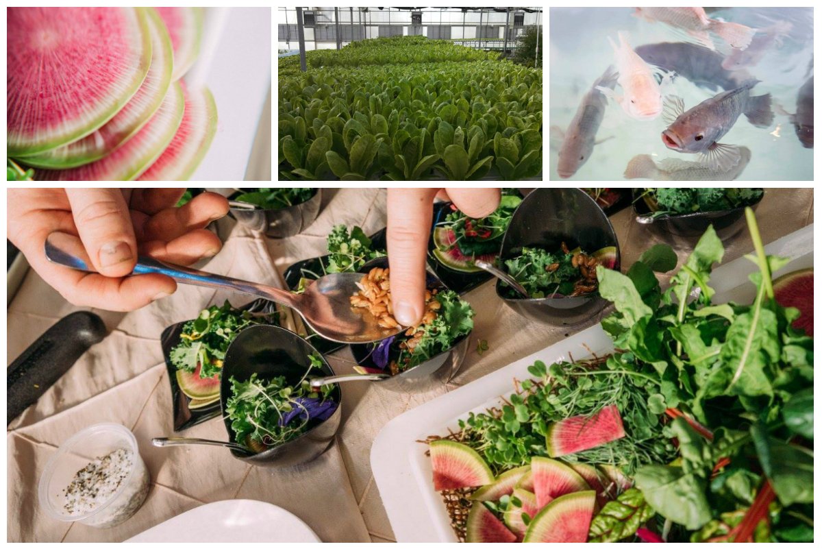 JumpStreetHBG's tweet photo. Support unique educational solutions benefiting the community. Vote for #SchoolToTable to bring $25,000 to @SHHS_SD https://t.co/Iik6xooAoR https://t.co/GVEckauMgr