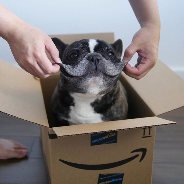 amazon's tweet image. Tryin' to keep it together on a Wednesday like...