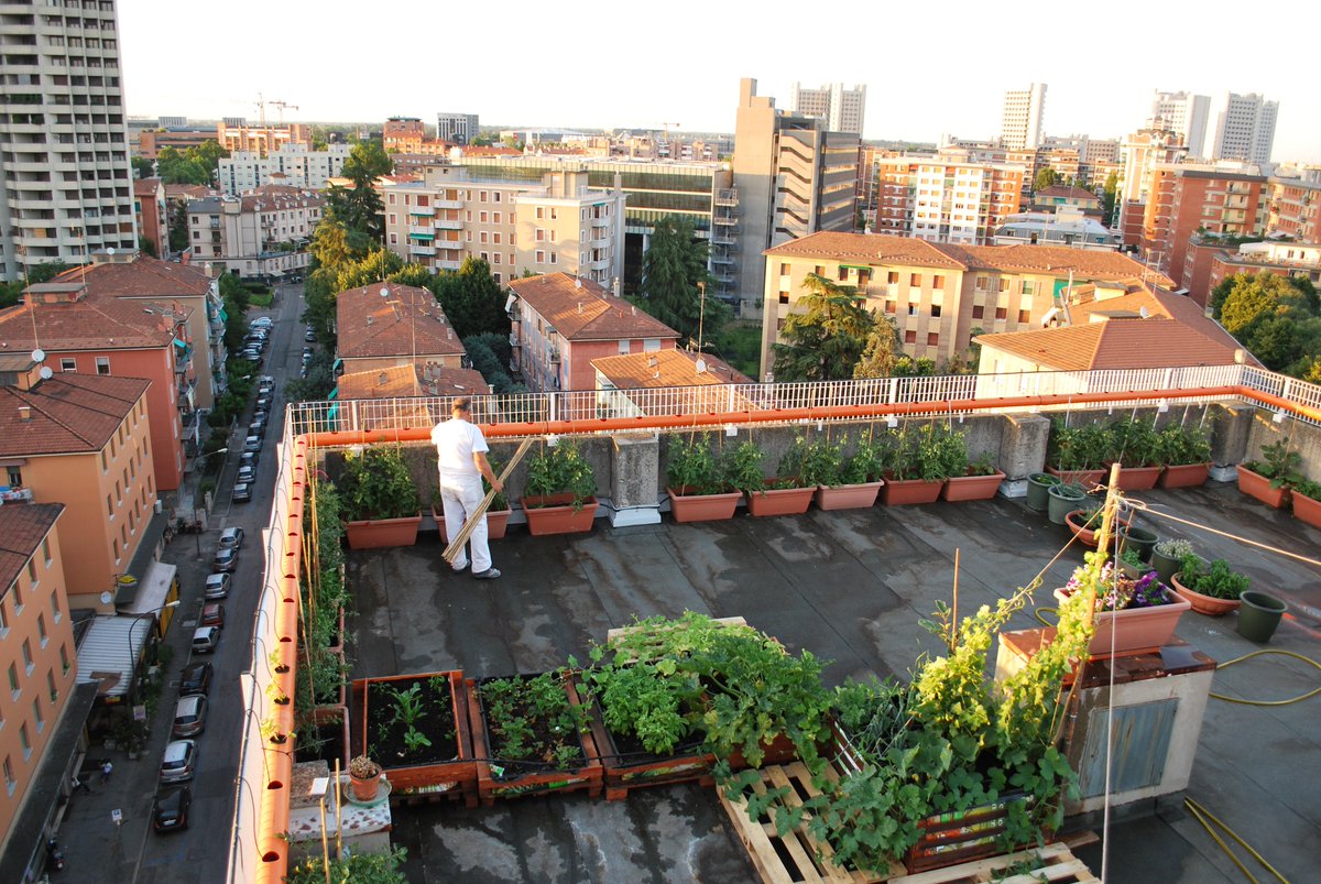 gramigna_map's tweet photo. https://t.co/FTFrBSXVXg 
#OrtiUrbani #urbanagriculture | a #Bologna si studia #biodiversity @rescueab @esanyemengual https://t.co/Nw94tTPwwO