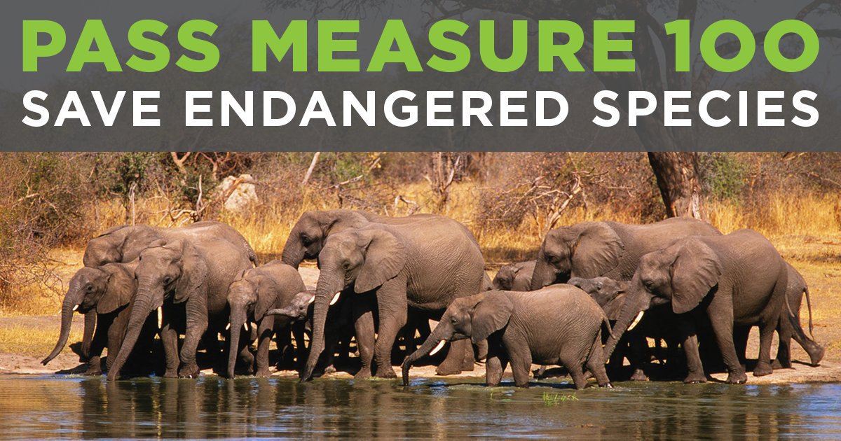 Save Animals Facing Extinction tweet media