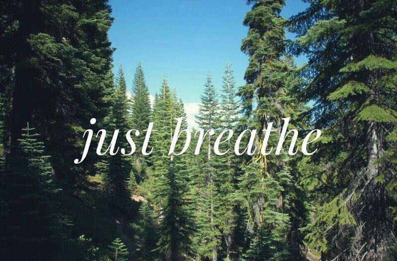 OutHereGang's tweet photo. Sometimes you just have to step back breathe and figure out what you love and want to live for https://t.co/6gGGpLDL83