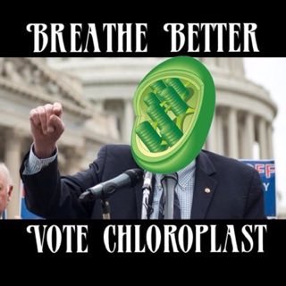 chloroblastttt's tweet photo. #organellewars https://t.co/FPcr1Jv8yv