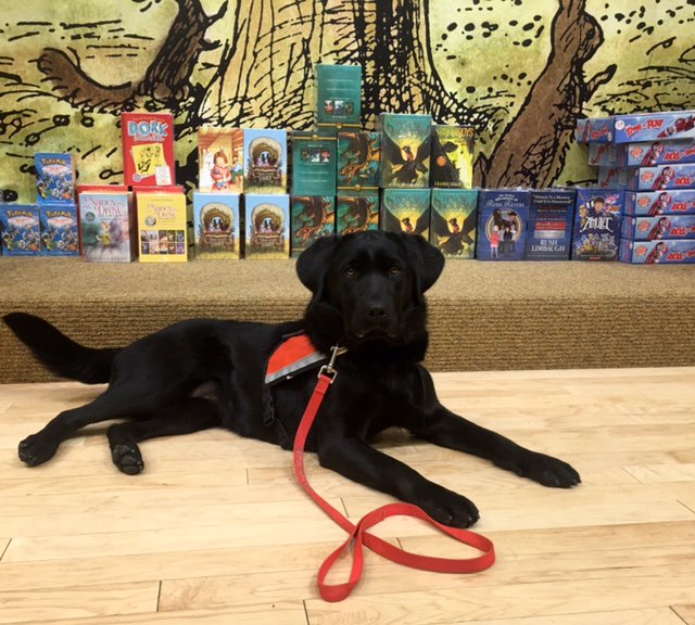 dogsbetterlives's tweet photo. Delight was out and about this week at a local Barnes & Noble -- looks like she found a few good books in the kid section! #DogsfortheDeaf https://t.co/cLLkbGJJFu