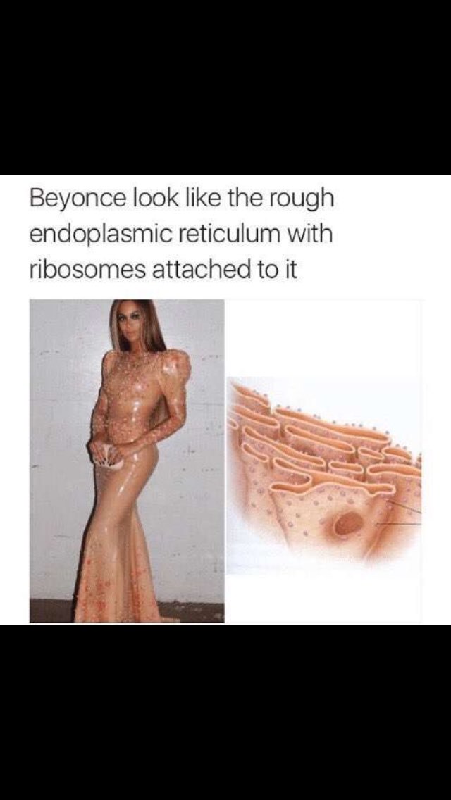 endoretic16's tweet photo. Even Queen B likes our look https://t.co/h48p5Q6Nif
