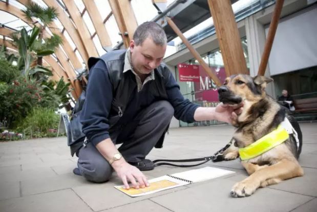 SheffieldStar's tweet photo. Get inspired by our #DisabilityWorks campaign. Nathan, Sarah and Alan won't be held back! https://t.co/itIVBdekXh #starlive @_DavidMWalsh https://t.co/L65W9m9lyd