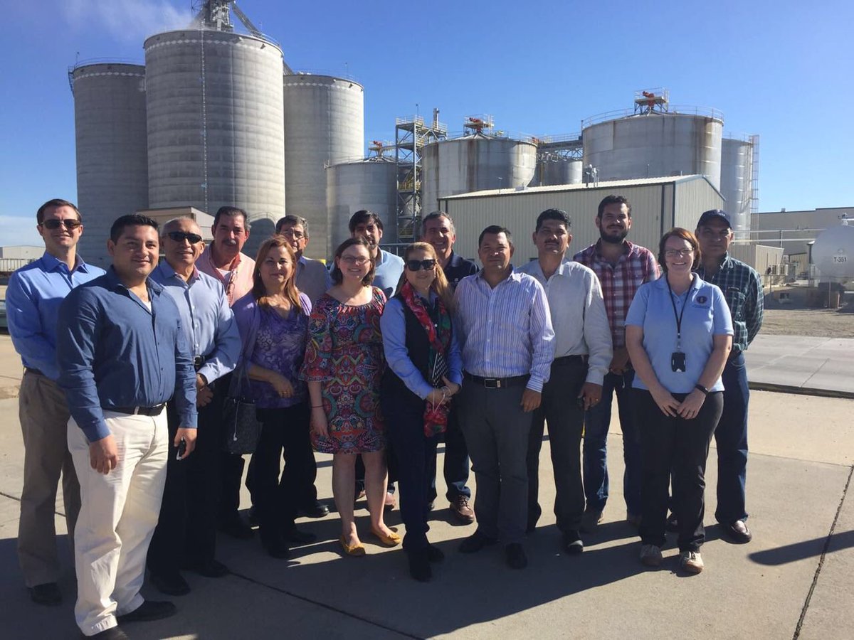 USGC_MEXyLtA's tweet photo. Mexican #sorghum buyers visit @KSsorghum  fields to learn about #harvest16 after attending #ExEx16 @USGC https://t.co/MWLGEu40jJ