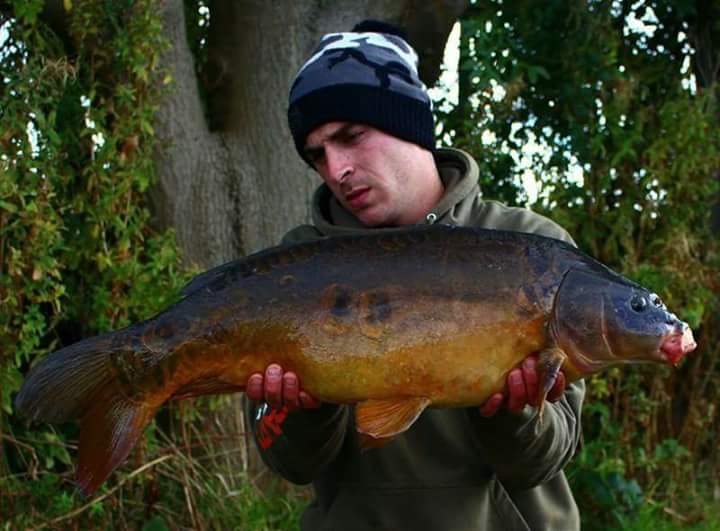 AdvAngSol's tweet photo. TM Ash & a dark old mirror from a day ticket lake that's been hard lately well derserved Ash #curveshank #leadclip https://t.co/JHEpIrW7ay https://t.co/0yOwM8gd7n