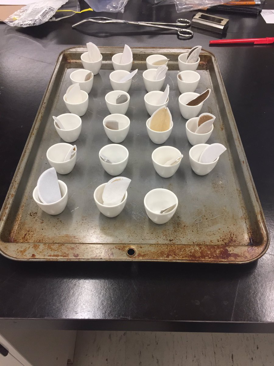 ZHarmer15's tweet image. Not what I&apos;m used to seeing on a cookie sheet, but anything for science #research #labmethods #wherearethecookies?