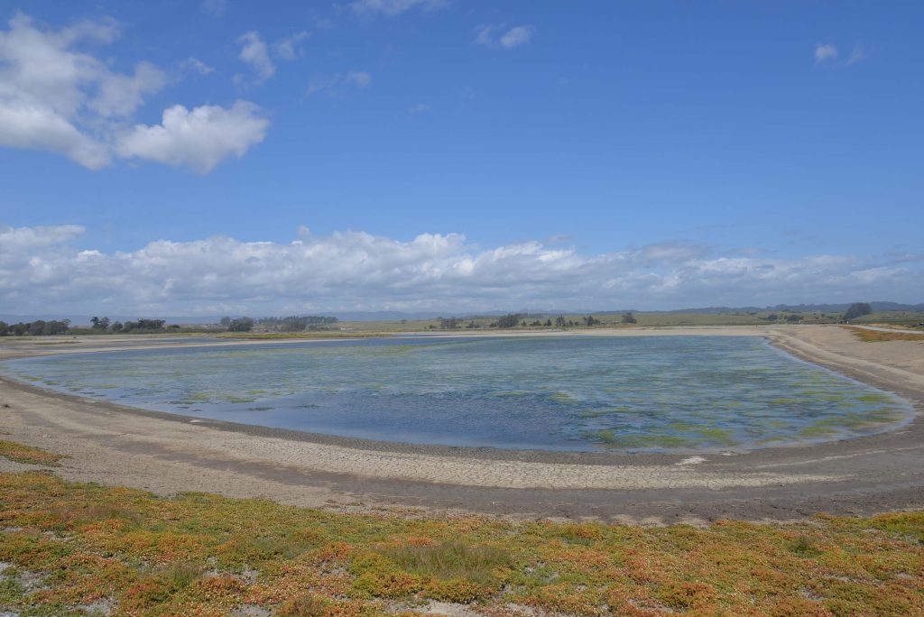 Mobile_Ranger's tweet photo. Elkhorn Slough: From Salt Ponds to Bird Sanctuary - https://t.co/txKqcw9HT0 https://t.co/FQW1BfiT20