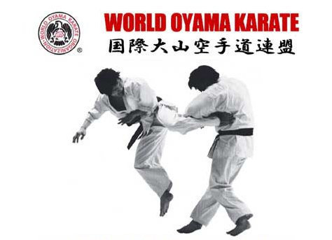 WorldOyama's tweet photo. You don't want to miss the World Oyama 2016 Ultimate Challenge Championship! See you at the Chelsea Community Center, Nov.13, 1:30pm! https://t.co/ZrG6DzkZQ6